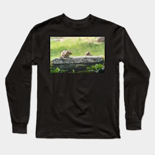 Sunny Weather Day Long Sleeve T-Shirt